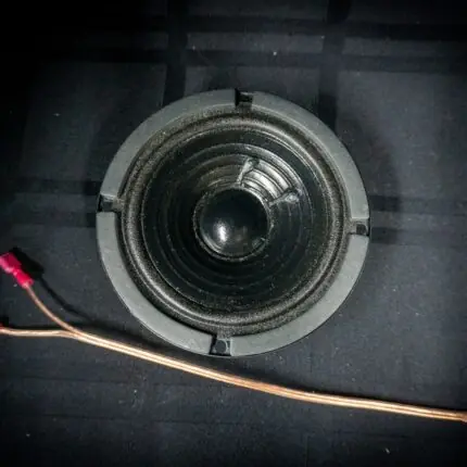 Speaker