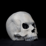Bony Bob - Image 10
