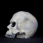 Bony Bob - Image 4