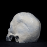 Bony Bob - Image 5
