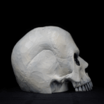 Bony Bob - Image 9